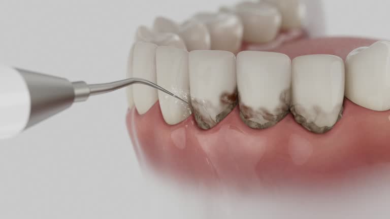 Reliable Dental contractor in Calhoun County County, MS by Dentist Open Now